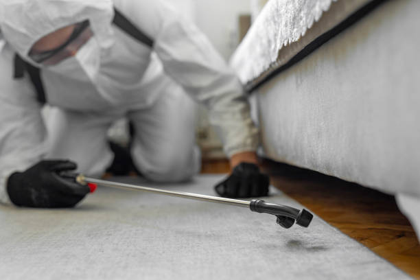 Professional Cockroach Control technician working in River Grove, IL