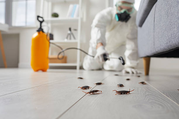 Trusted Fumigation Services service in River Grove, IL - Nex Pest Control
