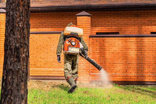 Trusted Bed Bug Control service in River Grove, IL - Nex Pest Control